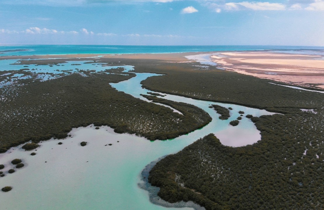 Séjour balnéaire au bord de la mer Rouge - Les méandres des rivages à l'aube - Amplitudes