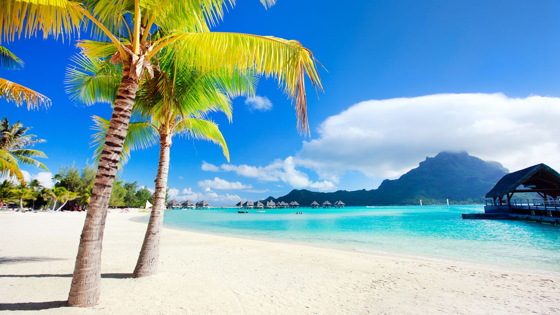 Voyage de noces en Polynésie - Une plage de Bora Bora - Amplitudes