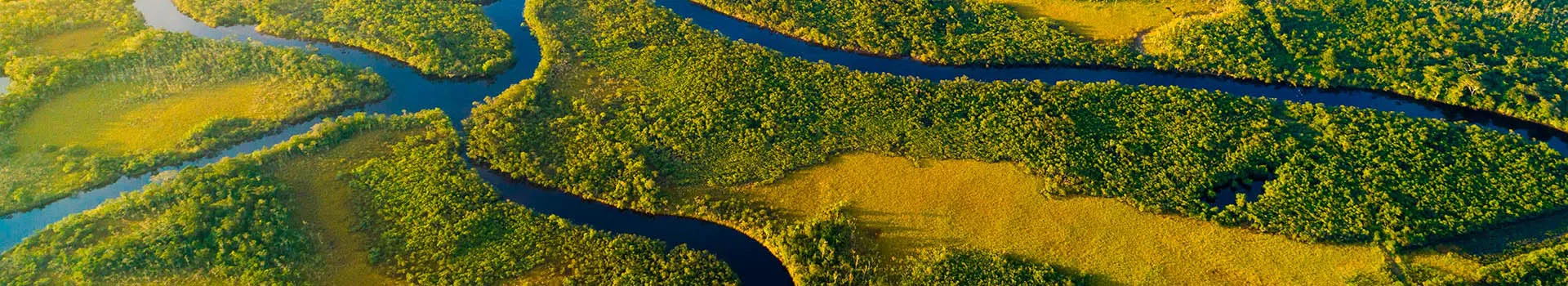 Voyage En Amazonie