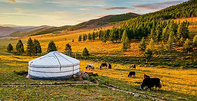 Voyage Mongolie Sur Mesure Circuit Autotour Amplitudes