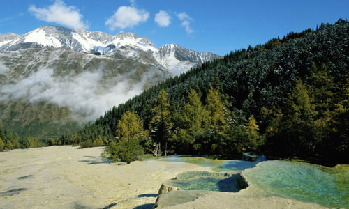 voyage_chine_voir_les_grands_pandas_du_sichuan