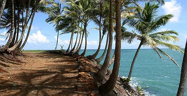 Ile Saint Joseph - Guyane