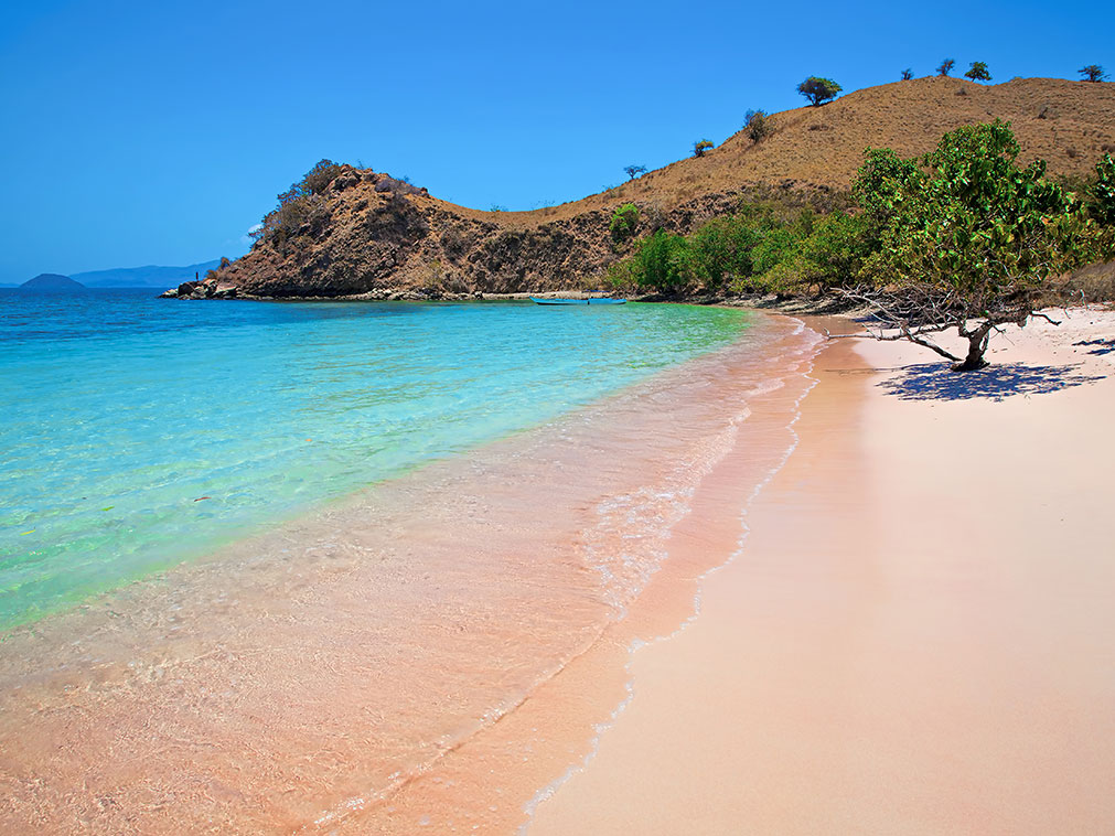 pink_beach_komodo_national_park