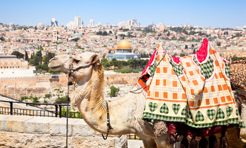 voyage_israel_terre_sainte_jerusalem_mont_oliviers