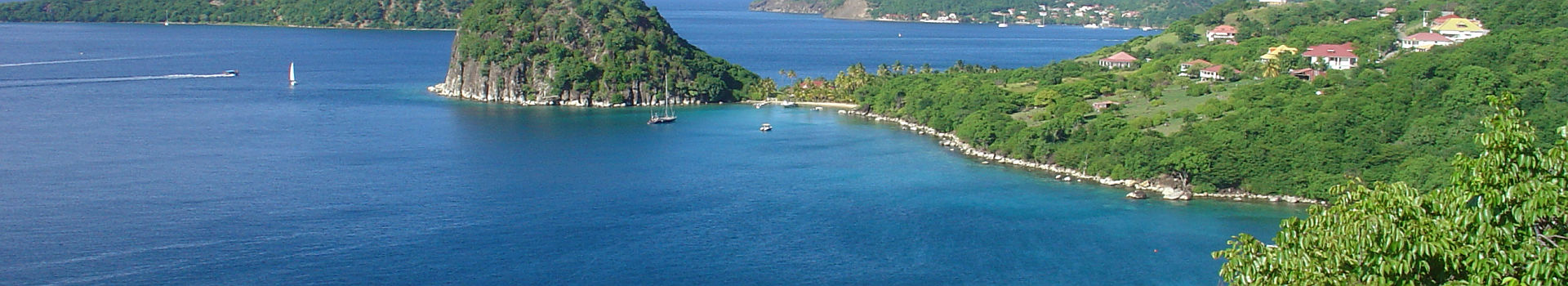 Bois Joli - Guadeloupe