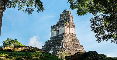 accroche-rainforest-mayas-singes-hurleurs