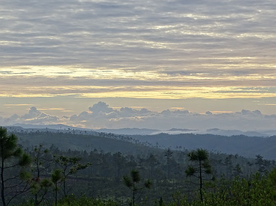 Mountain Pine Ridge - Belize