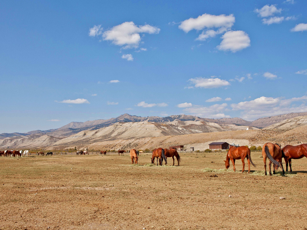 voyage_sejour_ranch_goosewing_jackson_hole_usa