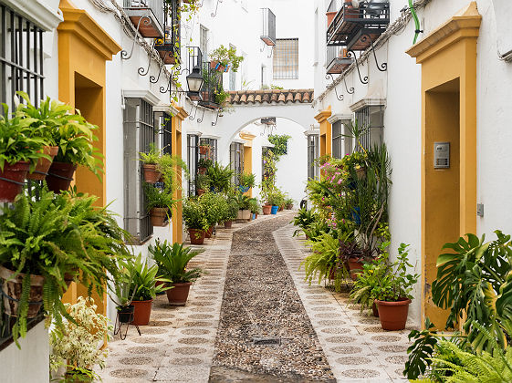 Ruelle de Cordoue - Andalousie, Espagne