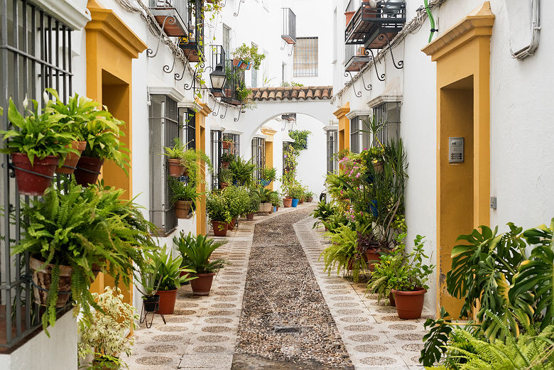 Ruelle de Cordoue - Andalousie, Espagne