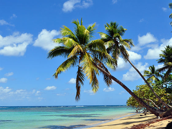 Las Terrenas - République Dominicaine