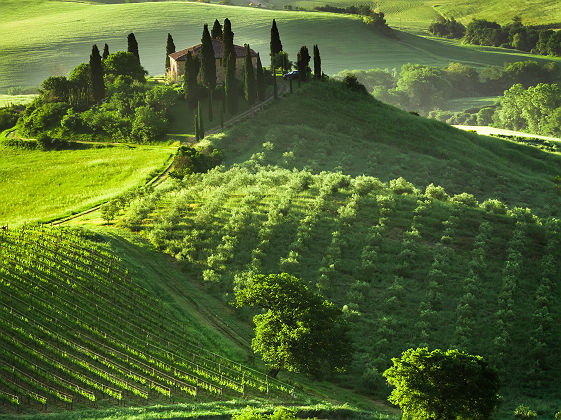 Paysage du Val d'Orcia en Toscane - Italie