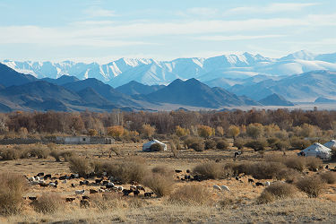 Asie Centrale - Mongolie - Vue panoramique sur les steppes mongoles et la vie nomade