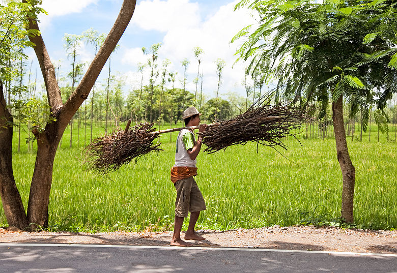 Agriculteur sur une route à Lombok - Indonésie