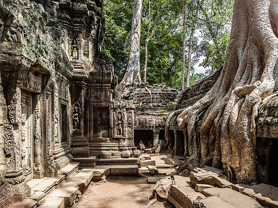 Temple d'Angkor Wat, près de Siem Reap - Cambodge