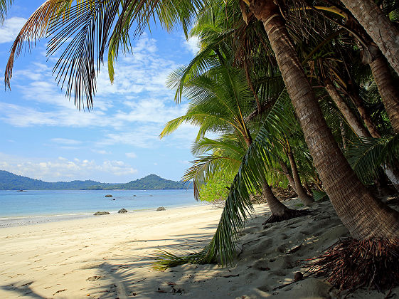 Plage tropicale de l'île de Coibita - Panama