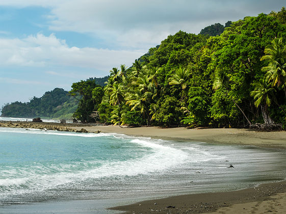 Parc National Corcovado - Costa Rica