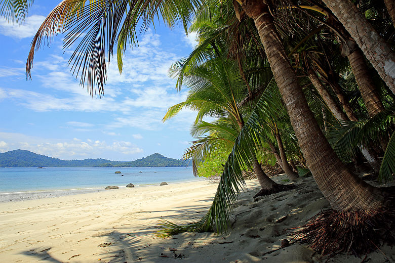 Plage tropicale de l'île de Coibita - Panama