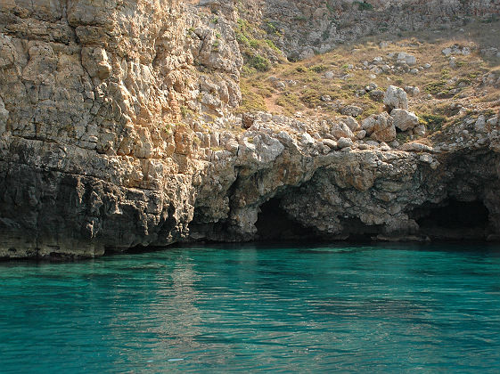 Porto Selvaggio, Nardo