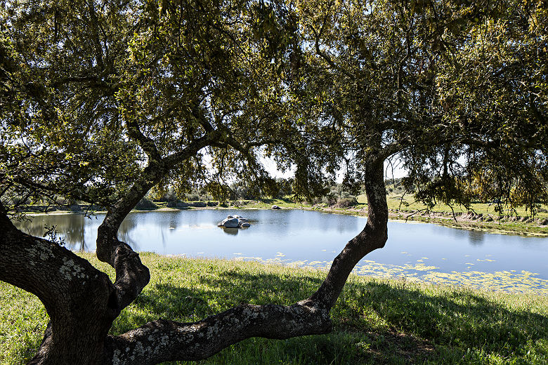 São Lourenço do Barrocal - (c) Nelson Garrido