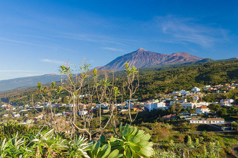 Paysage de Tenerife - Canaries (Espagne)