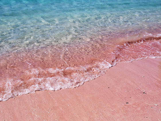 Pink Beach dans le Parc National de Komodo