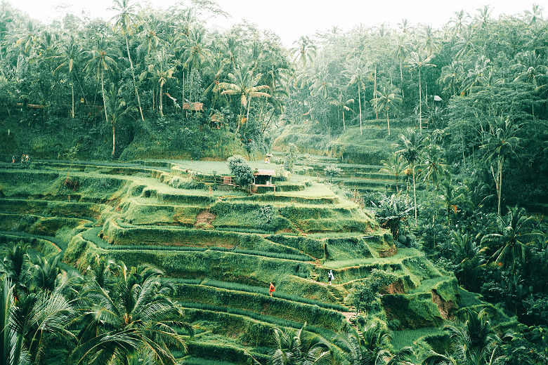 Rizière Tegalagang à Ubud-Bali