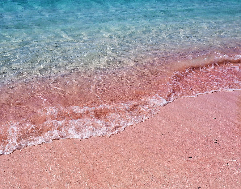 Pink Beach dans le Parc National de Komodo