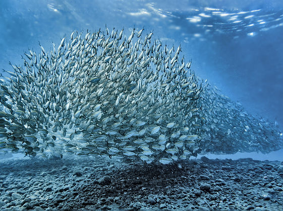 Manado, Sulawesi, Indonesia