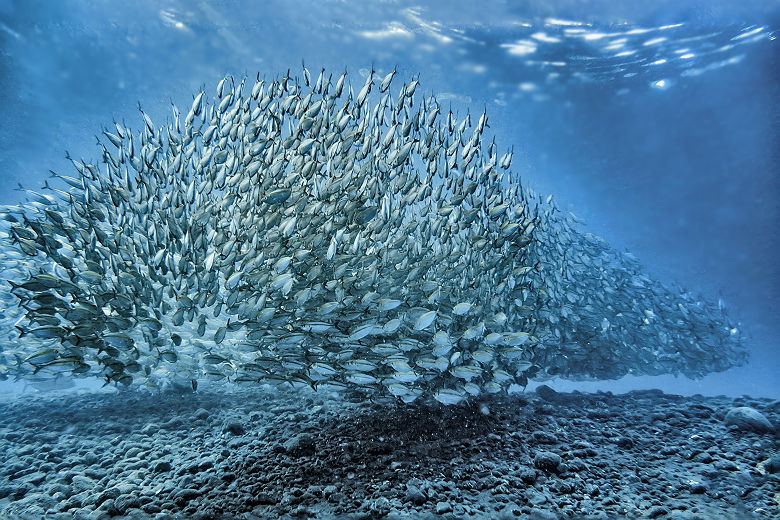 Manado, Sulawesi, Indonesia