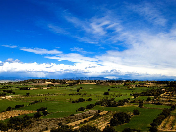 Somontano de Barbastro, Alquézar