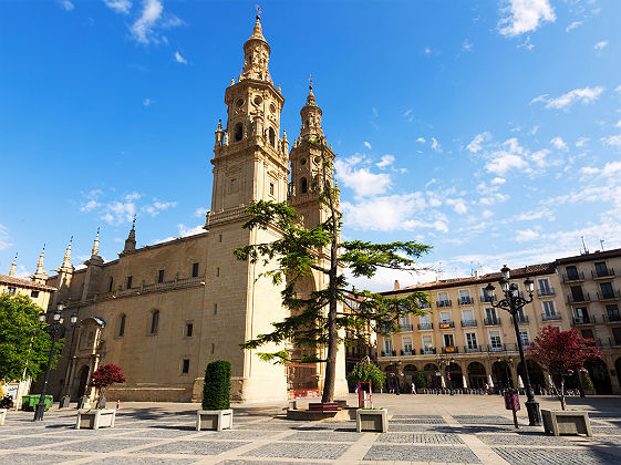 Cathedrale Saint Maria de la Redonda a Logrono