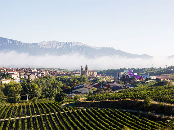 La Rioja, Logrono