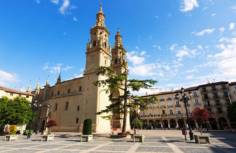 Cathedrale Saint Maria de la Redonda a Logrono