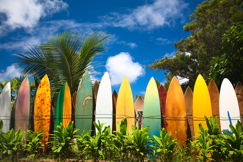 Hawaï - Rangée de planches de surf colorées