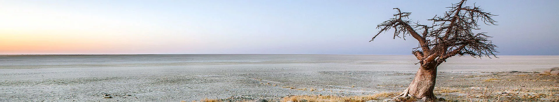 Baobab,Parc National du Makgadikgadi Pans, Botswana