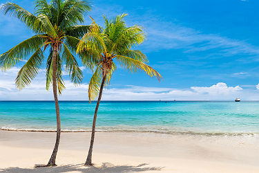 Plage de sable blanc en Jamaique