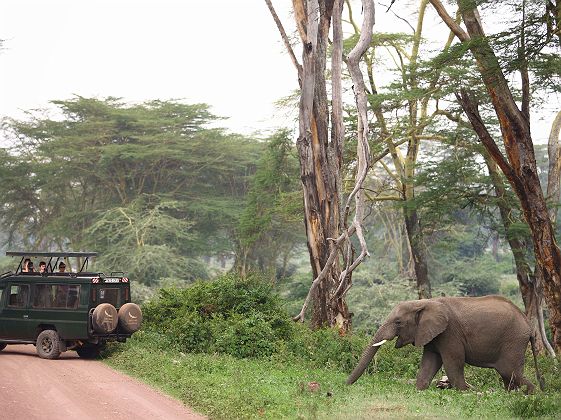 andBeyond Ngorongoro Crater Lodge