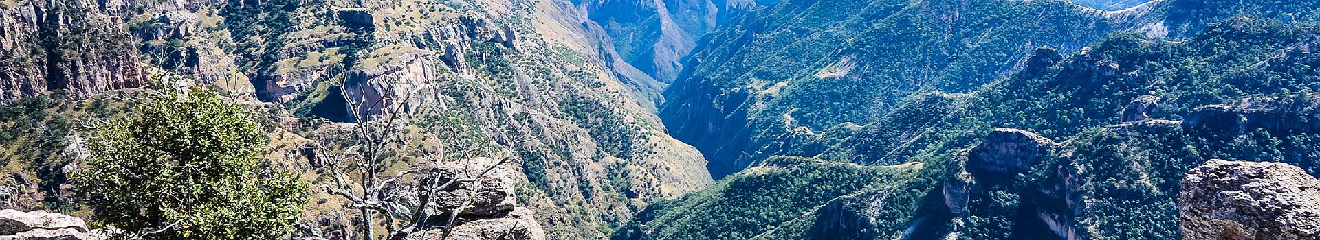 Copper Canyon Sierra Madre Occidental, Chihuahua, Mexico