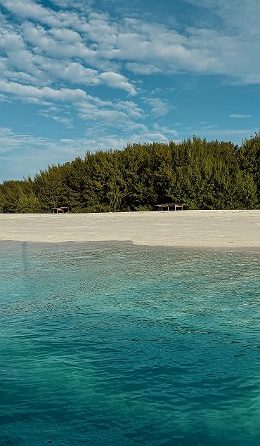 Vue sur Mnemba Island