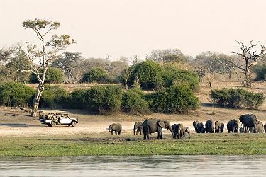 Elephants et voiture de Safari au Parc national de Chobe au Botswana