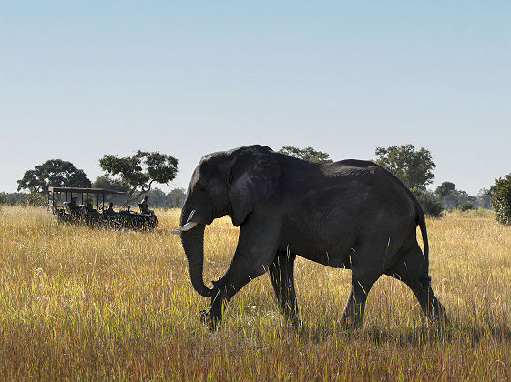 andBeyond Xaranna Okavango Delta Camp