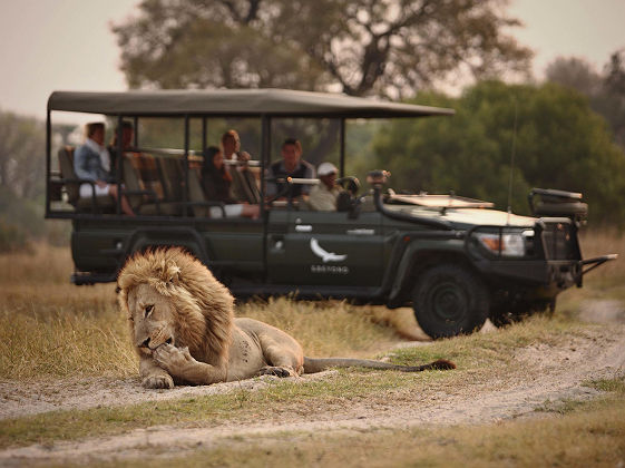 andBeyond Sandibe Okavango Safari Lodge