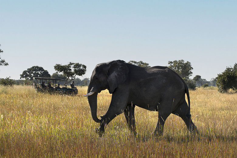 andBeyond Xaranna Okavango Delta Camp