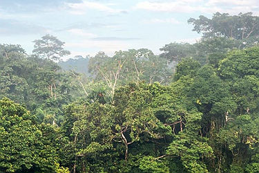 pano-amazonie-terre-du-milieu