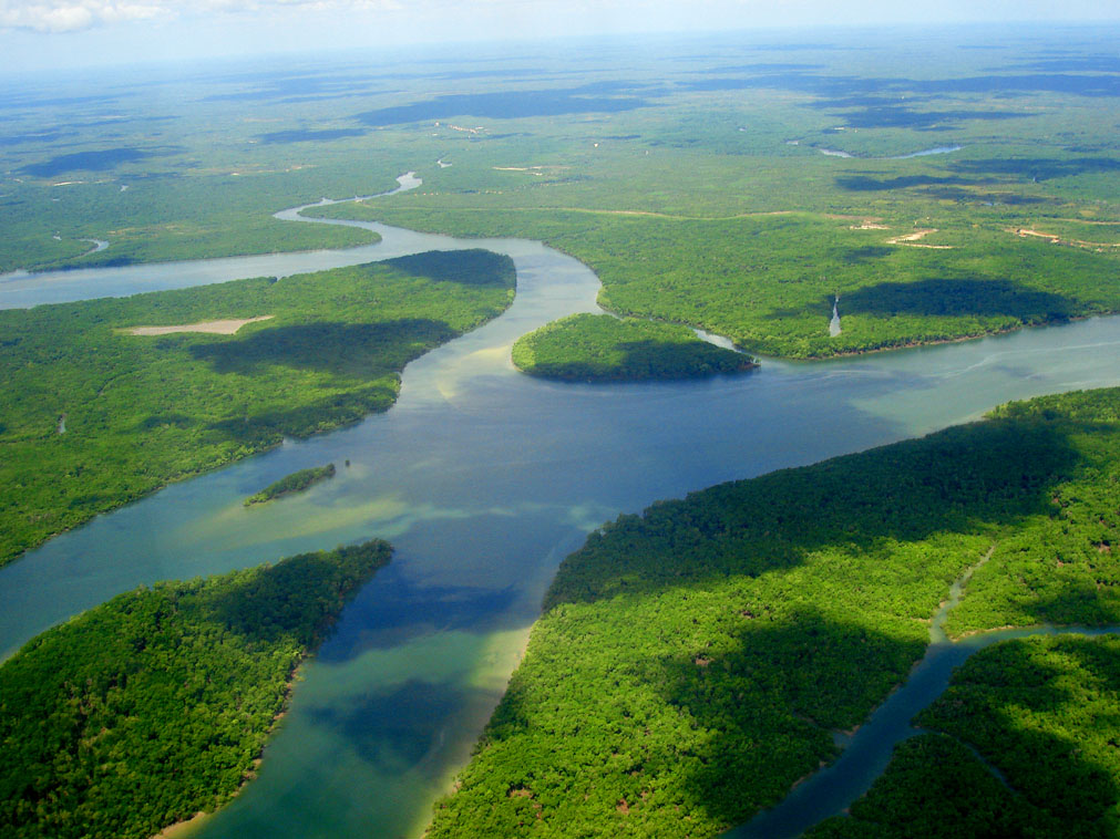 visiter_bresil_croisiere_amazonie_foret