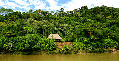 Le Río Napo - Equateur