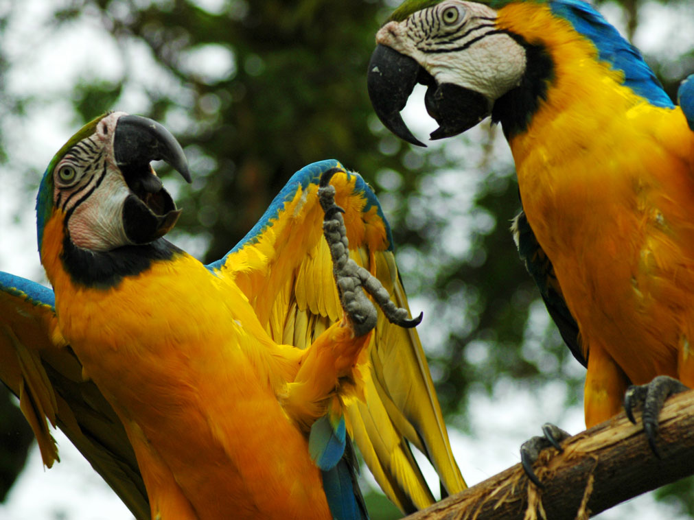 croisiere_amazonie_equateur_coeur_foret_primaire