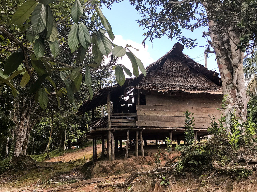 croisere_amazonie_medandres_paradis_vers_bresil