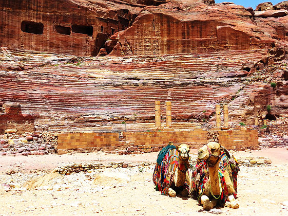 Chameaux à Petra - Jordanie